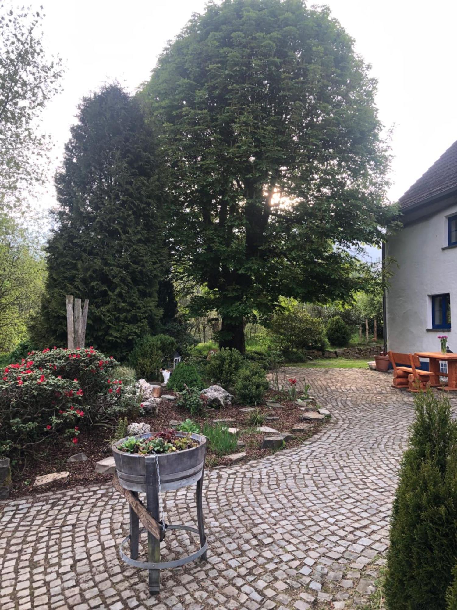 Apartment Urlaub In Der